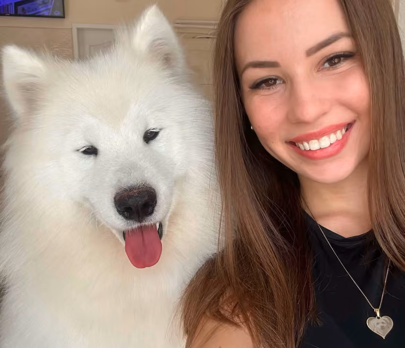Classy Dog galéria